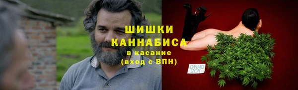 прущие грибы Ханты-Мансийск