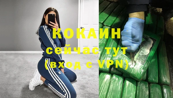 винт Ладушкин