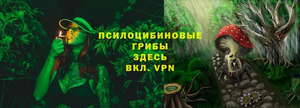 первитин Лабытнанги